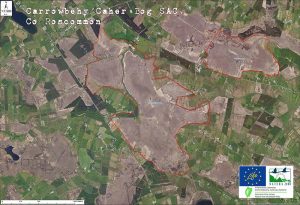 Carrobehy / Caher Bog Boundary Map