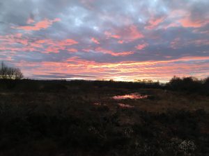 Sunset on Ardagullion Bog
